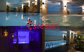 Economy Silesian Hotel